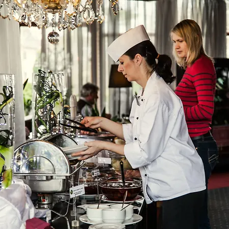 博尔诺维莫里斯公园酒店 4* Nový Bor