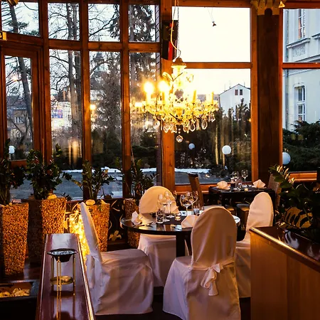 博尔诺维莫里斯公园酒店 酒店 Nový Bor