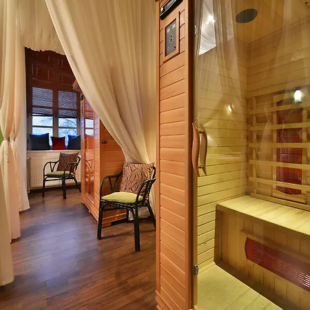 酒店 博尔诺维莫里斯公园酒店 Nový Bor