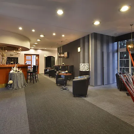 博尔诺维莫里斯公园酒店 Nový Bor