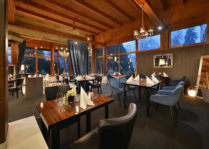 博尔诺维莫里斯公园酒店 Nový Bor