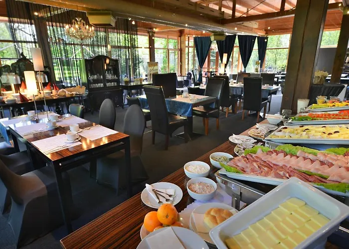 酒店 博尔诺维莫里斯公园酒店 4*