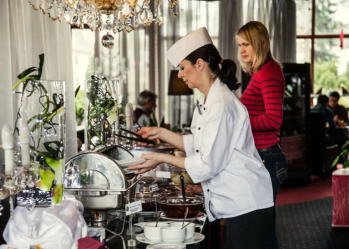 博尔诺维莫里斯公园酒店 4* Nový Bor