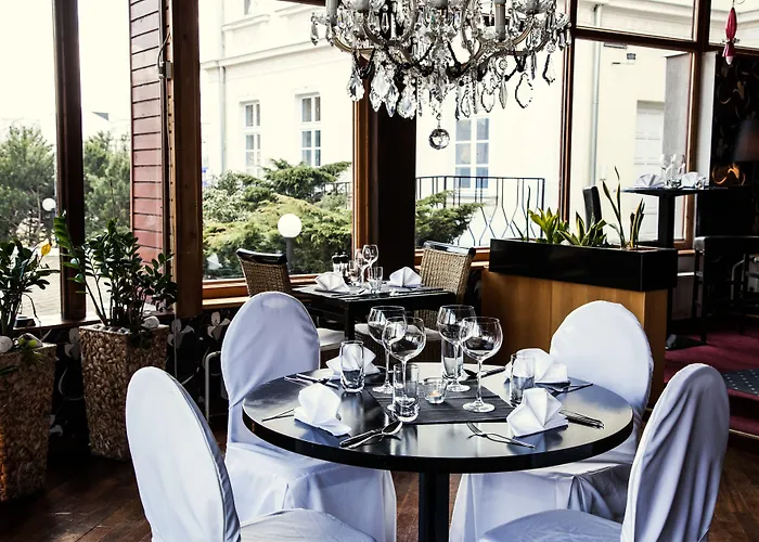 酒店 博尔诺维莫里斯公园酒店 Nový Bor