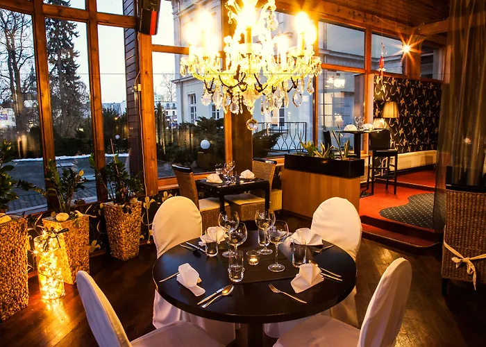 博尔诺维莫里斯公园酒店 酒店 Nový Bor