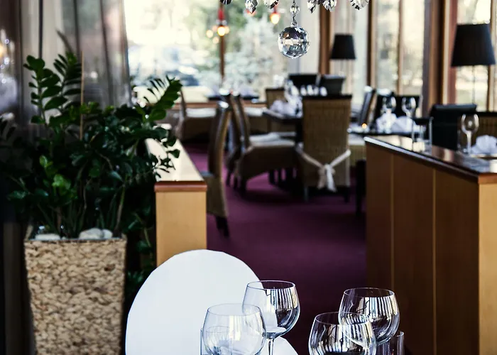 博尔诺维莫里斯公园酒店 4* Nový Bor