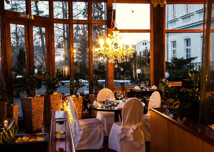 博尔诺维莫里斯公园酒店 酒店 Nový Bor