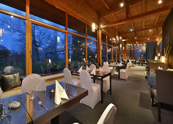 博尔诺维莫里斯公园酒店 4* Nový Bor