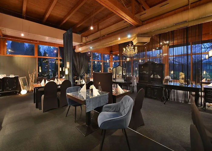 博尔诺维莫里斯公园酒店 酒店 Nový Bor
